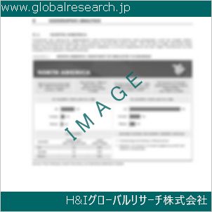 グローバルリサーチ調査資料のイメージ
